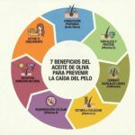 Infografía: 7 beneficios del aceite de oliva para prevenir la caída del pelo (hidratación, fortalecimiento, crecimiento)