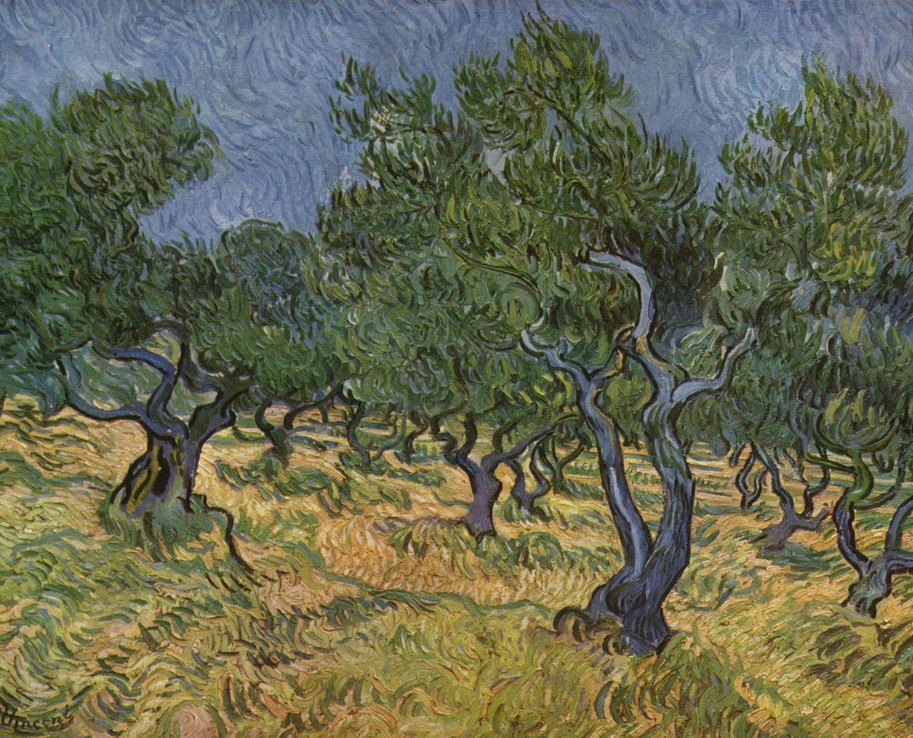 Bosque de Olivos - Van Gogh
