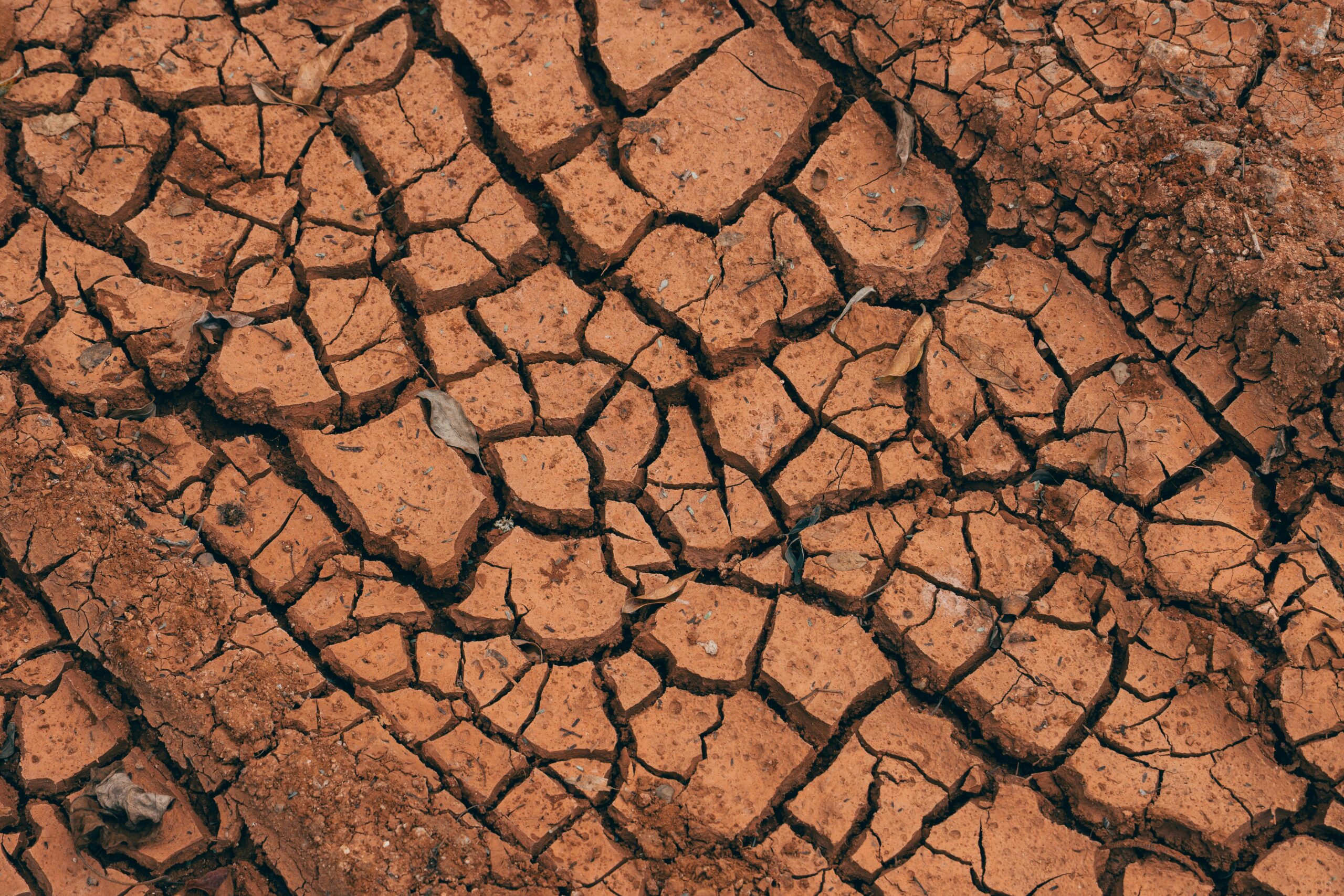 Close-up of cracked red soil, illustrating drought effects.